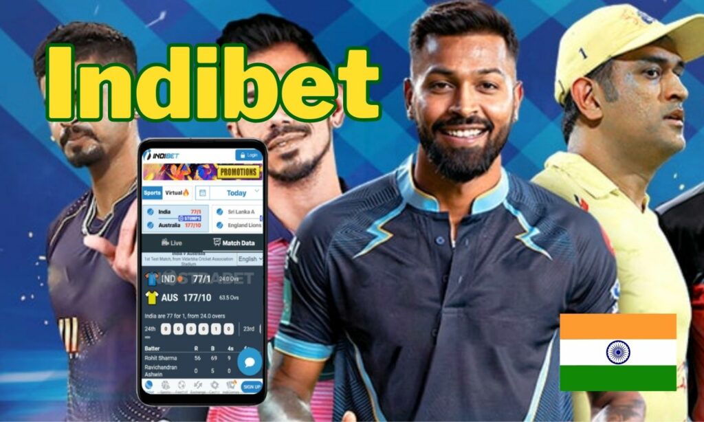 Indibet official app features overview in India
